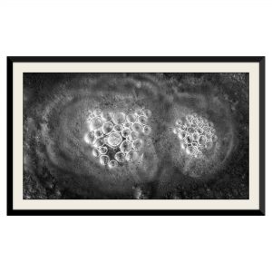 Fotografie cu peisaj