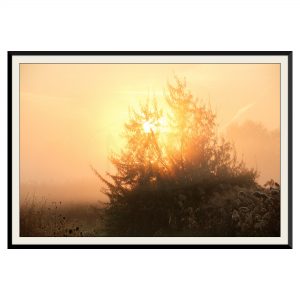 Fotografie cu rasarit