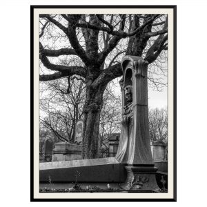 Fotografie arhitectura